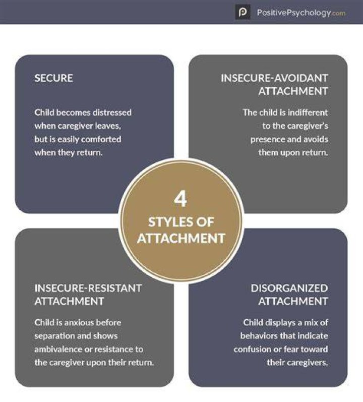 Can attachment theory be applied to adults?
