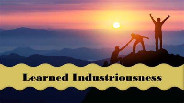 Can industriousness be learned?