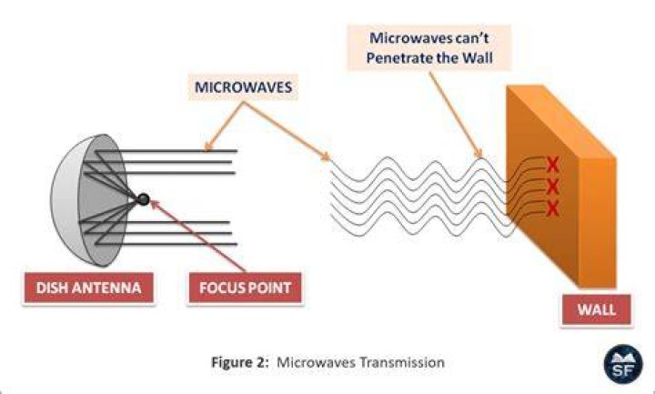 Can microwaves waves be polarized?
