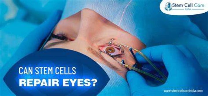 Can stem cells repair eyes?