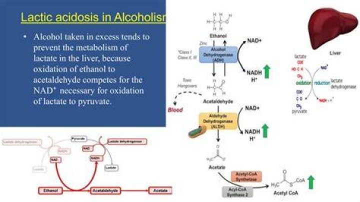 Can tenofovir cause lactic acidosis?