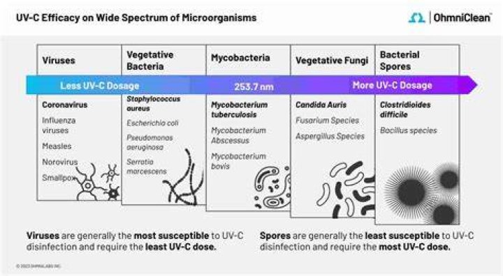 Can yeast be killed by UV?