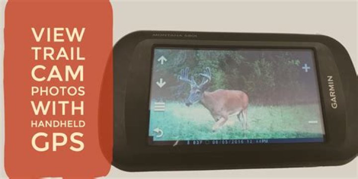 Can you view trail cam pictures?