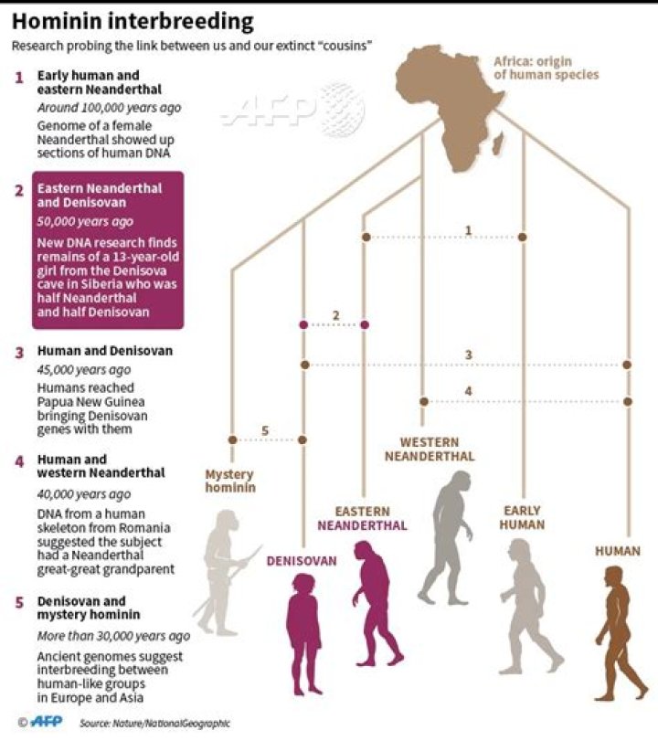 Did humans and Denisovans interbreed?