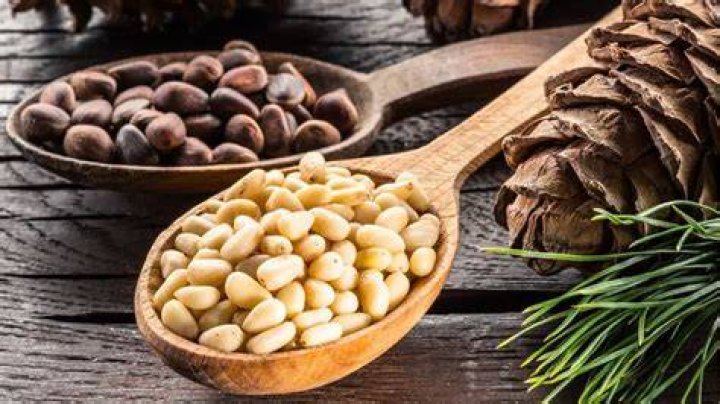 Does pine nuts increase weight?