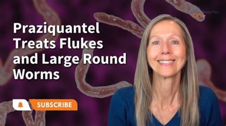 Does praziquantel kill internal parasites?
