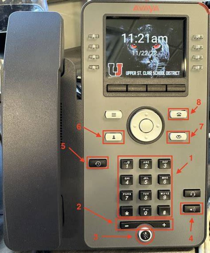 How do I change my Avaya display name?