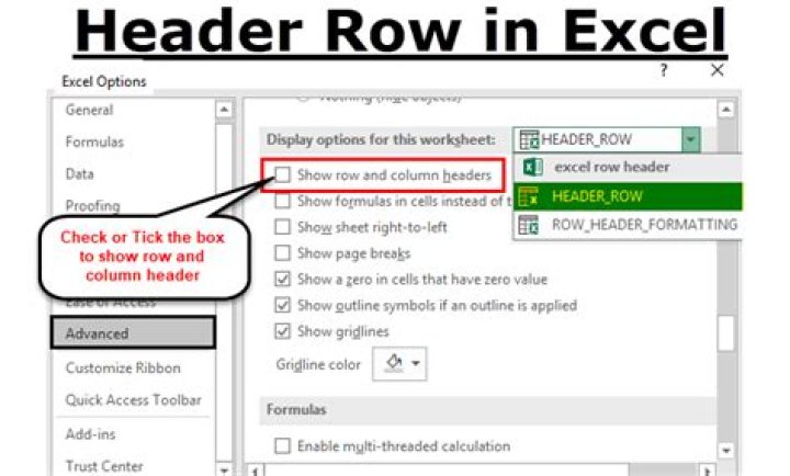 How do I create a header row in Excel 2007?