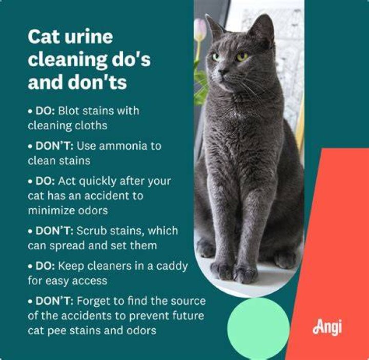 How do I get rid of urine smell in spica cast?