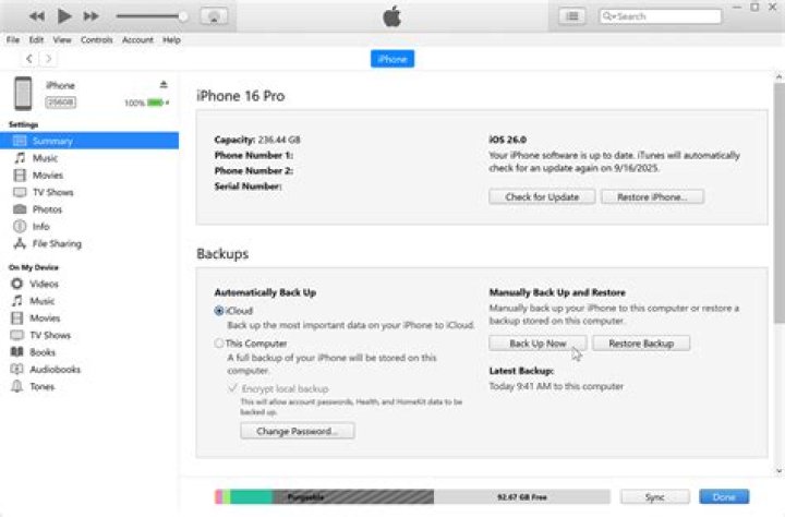 How do I get the iTunes App back on my iPhone?