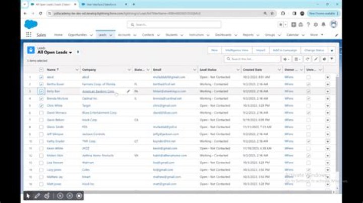 How do I mass update records in Salesforce?