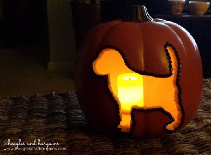 How do you carve a puppy pumpkin?