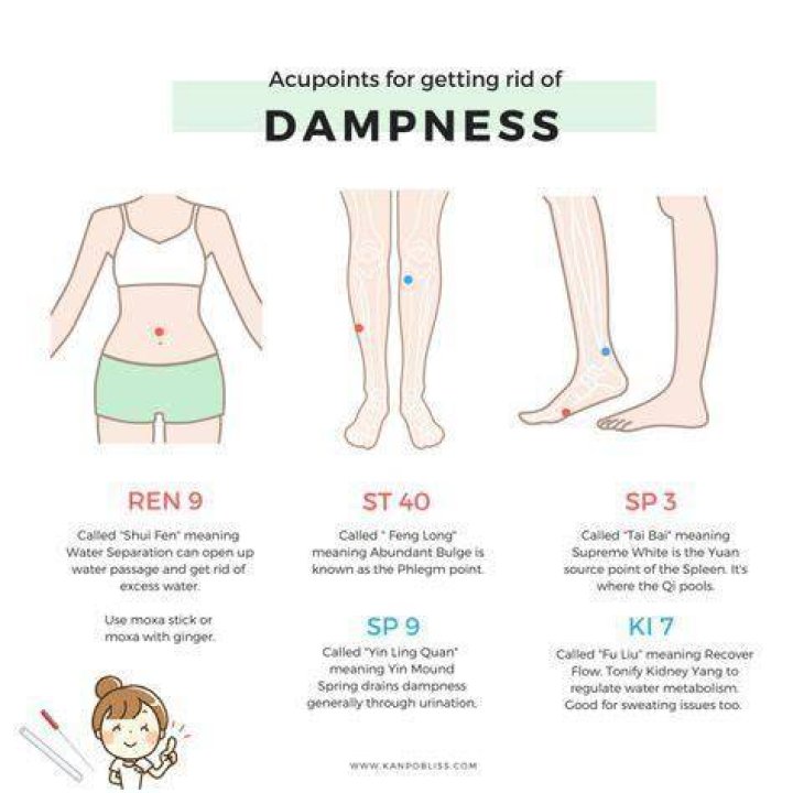 How do you expel dampness in TCM?