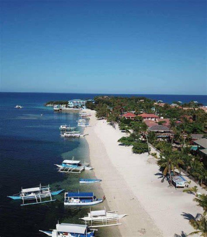 How do you get to Malapascua Beach Resort?