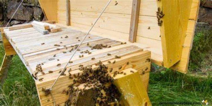 How do you make top bar hives?