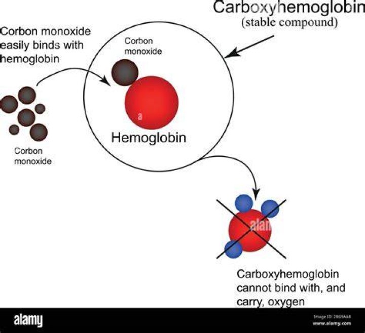 How does carbon monoxide bond to hemoglobin?