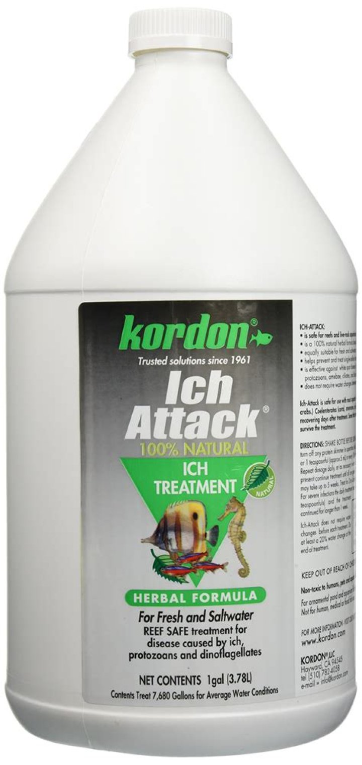 How does Kordon Ich attack work?