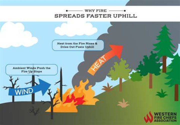 How fast can a fire move with wind?