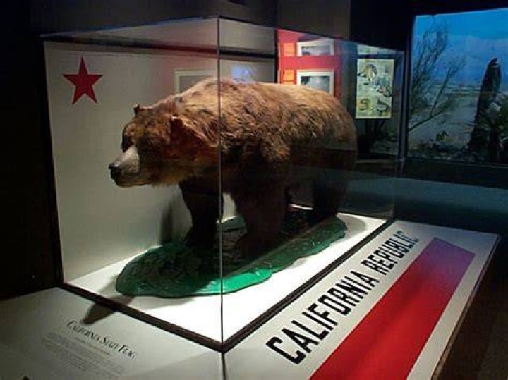How is the grizzly bear important in California history?
