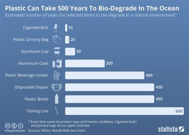 How long do Bio Plastics last?