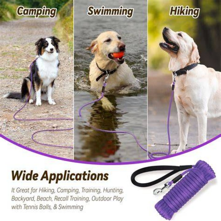How long is leash for recall training?