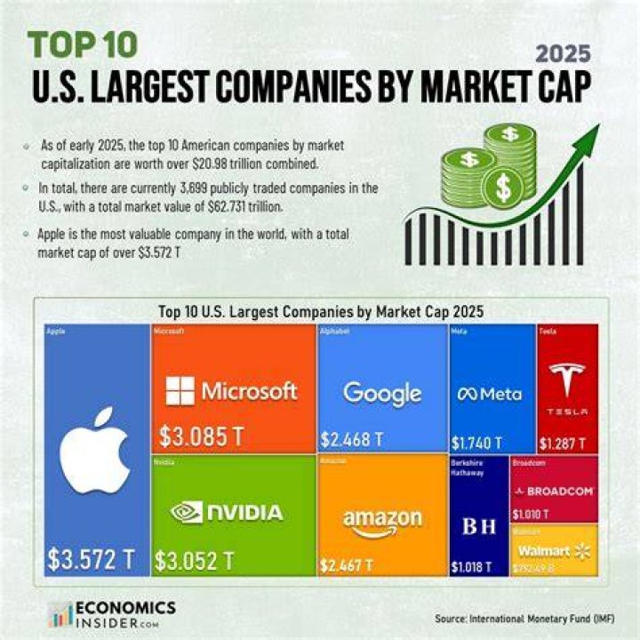 How many Chinese companies are in the US stock market?