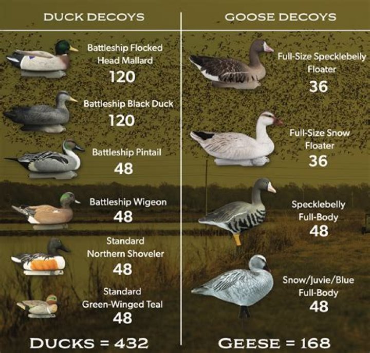 How many decoys do I need for a small pond?