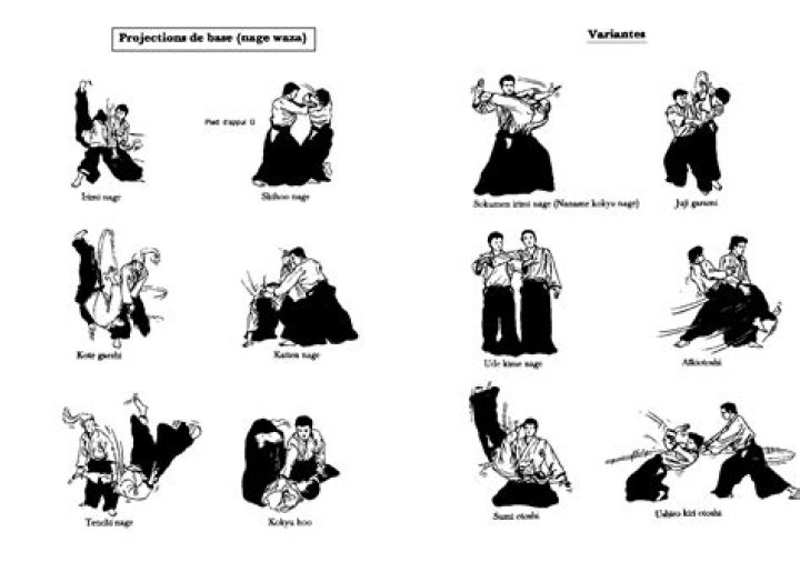 How many techniques does Aikido have?