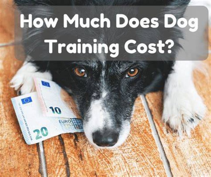 How much does dog training cost in Australia?