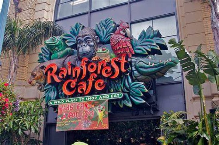 How much does Rainforest Cafe cost?