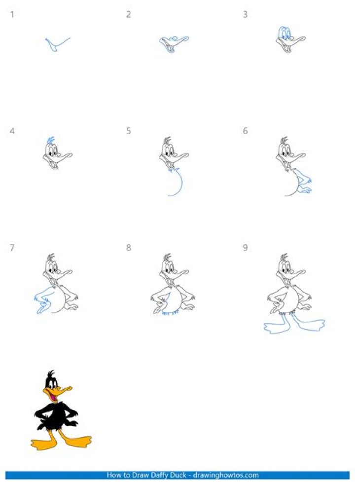 How to draw Daffy Duck?