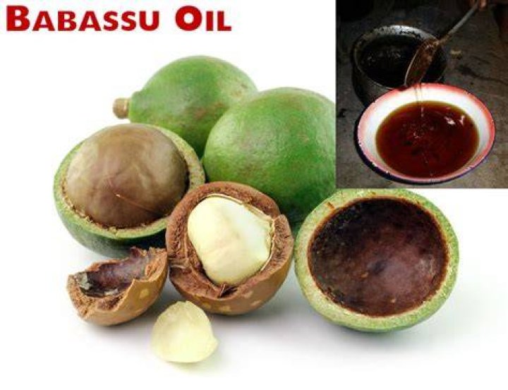 Is babassu oil good for skin?