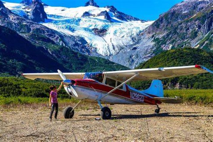 Is Cessna 170 A good bush plane?