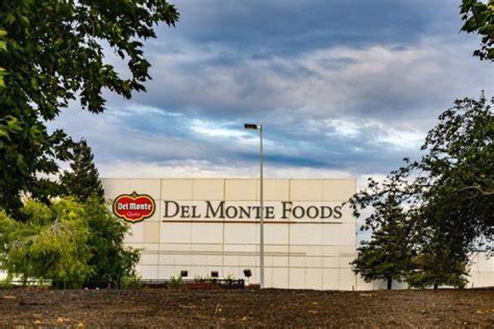 Is Del Monte Foods still in business?