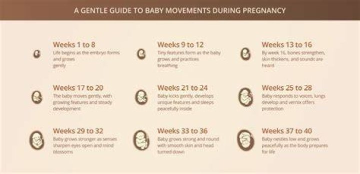 Is it normal for my baby not to move at 17 weeks?