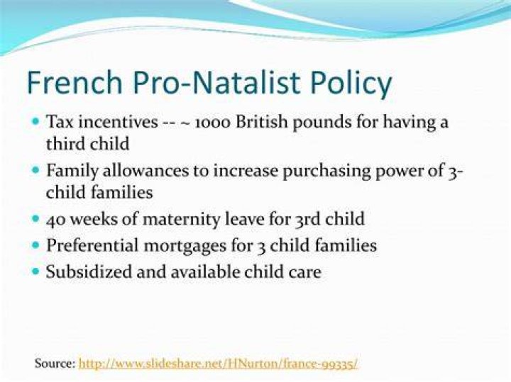 Was the pro natalist policy in France successful?