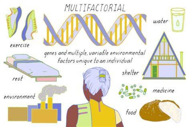 What are examples of multifactorial disorder?
