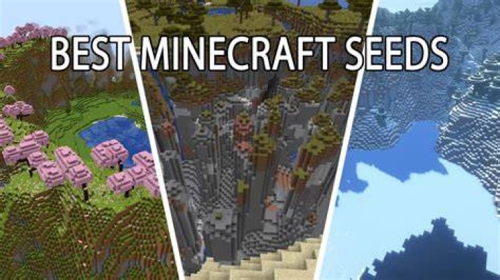 What are Minecraft seeds and how to use them?