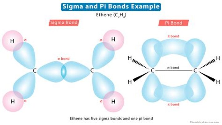 What are P bonds in chemistry?
