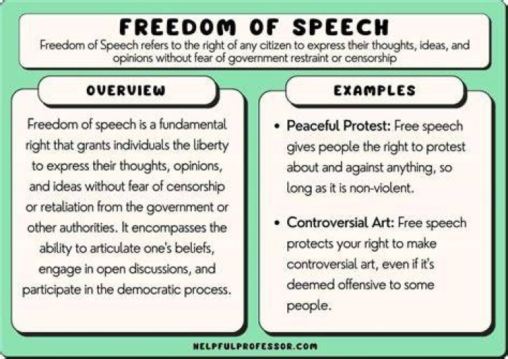 What are some issues of freedom of speech?