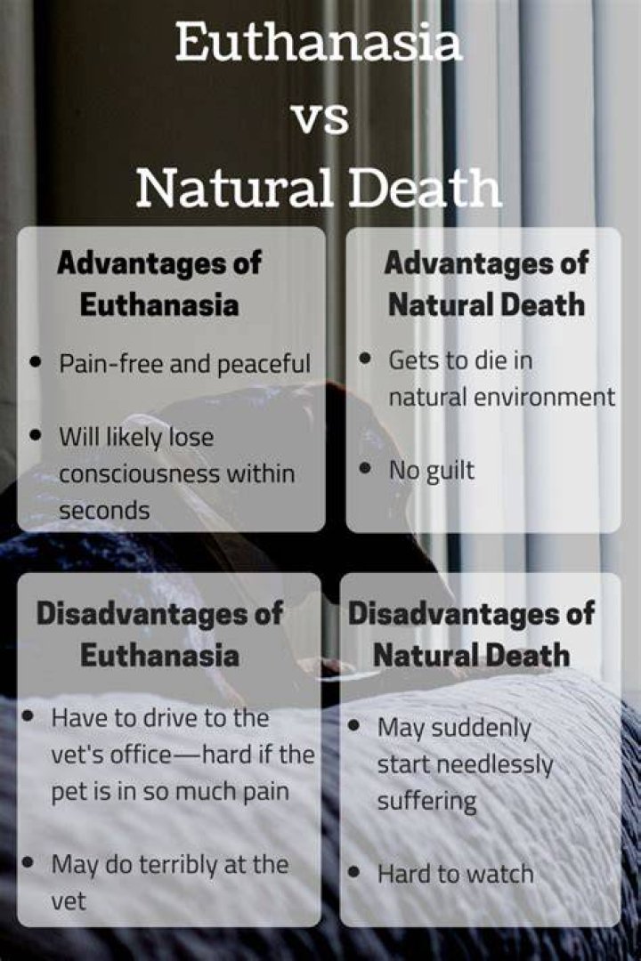 What are some pros to euthanasia?