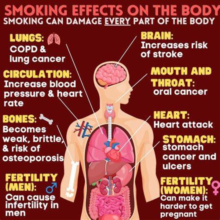 What are the 4 major health effects of smoking?