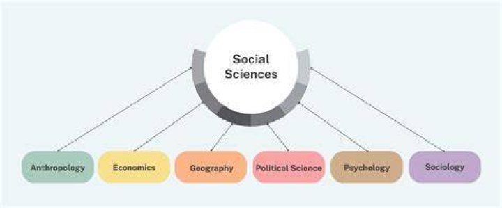 What are the 7 major disciplines in the social sciences?