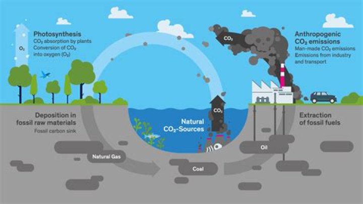 What are the anthropogenic sources of carbon dioxide?