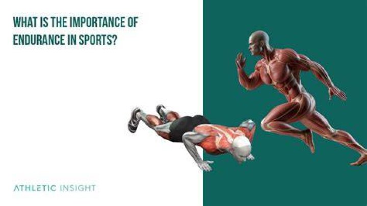 What are the endurance sports?