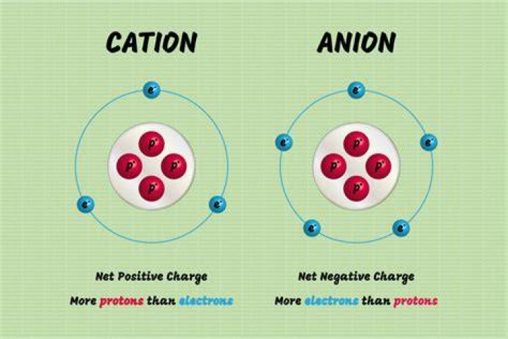 What are the examples of anions and cations?
