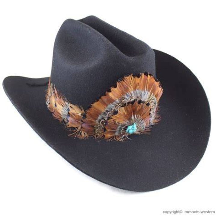 What are the feathers on Band hats called?