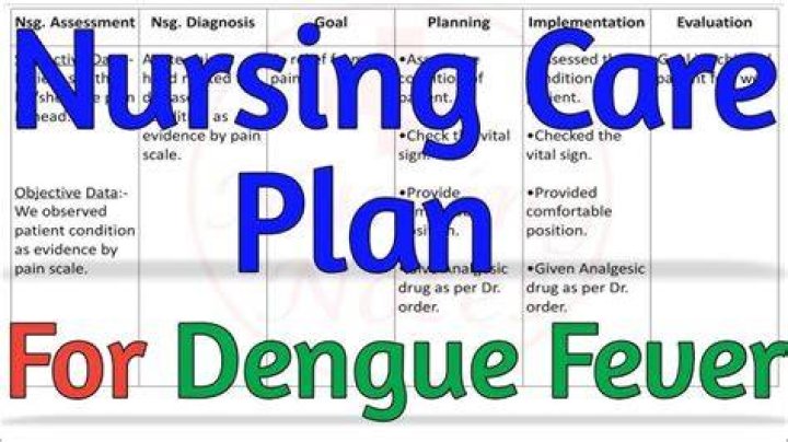 What are the nursing diagnosis for dengue?