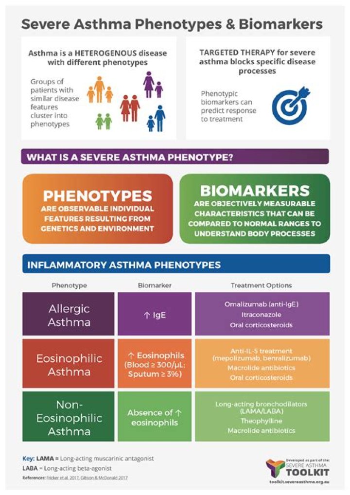 What are the phenotypes of asthma?