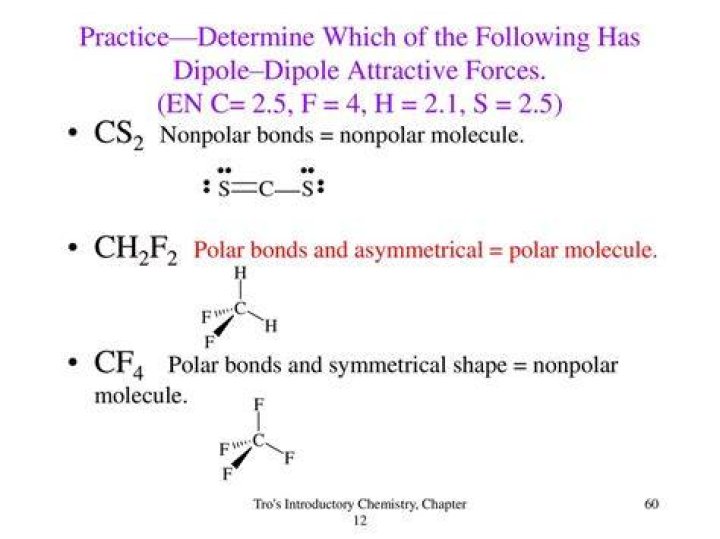 What attractive forces are in CF4?